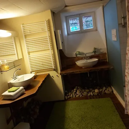 Forsthaus ホームステイ Merzalben